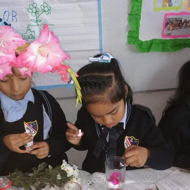 Primaria baja 3