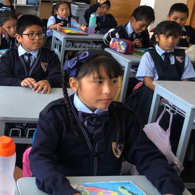 Primaria baja principal
